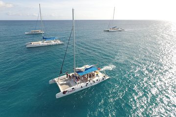 Saona Island Paradise From Punta Cana
