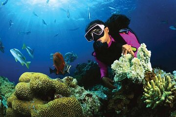 Scuba Diving in Bentota