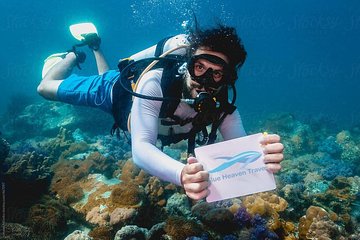 Luxor to Red Sea Hurghada - Full Day Tour Snorkeling Adventure
