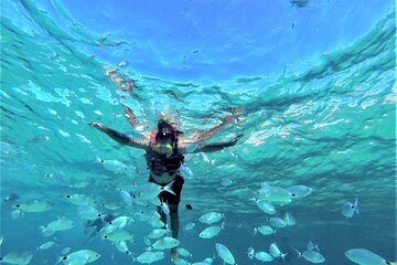 Beach Snorkeling and Cave Tour in Ibiza by Boat