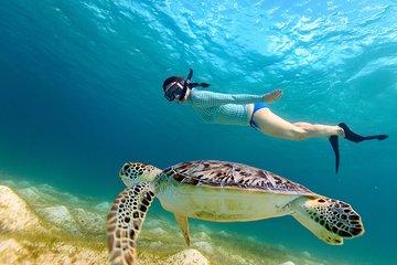 Turtle spotting snorkeling adventure- no Jets