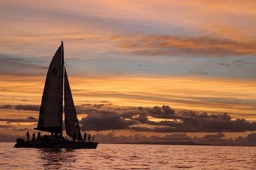 Sunset Or Morning Sailing Experience (Cocktails, Food, Snorkel, Kayaks)