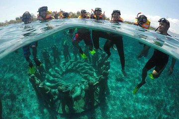 Snorkeling (Depart Gili T),Gili Trawangan, Gili Meno,