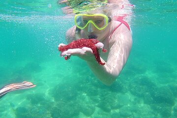 Snorkel at the Arch