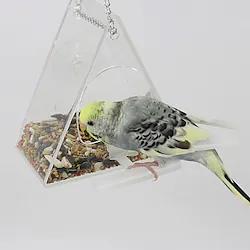 Acrylic Parrot Feeder Hanging Bird Feeder Anti-Scatter Anti-Splash Bird Food Box Trough Feeder Lightinthebox