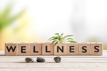 Wellness Spa Day (1-8pax)