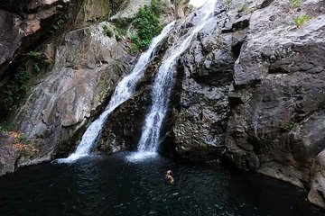 Bach Ma Park via Hai Van Pass Private Full-Day Trekking Tour