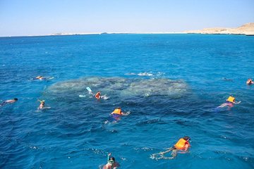 Giftun island snorkeling trip