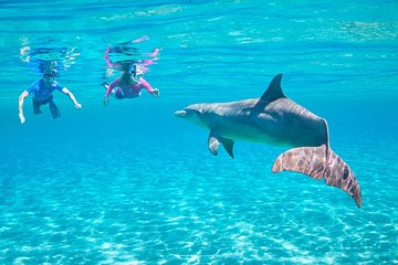 Dolphin House Royal VIP Snorkeling Sea Trip & Water Sports & Transfer - Hurghada