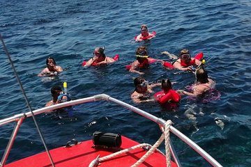 Guided Boat Tour & Snorkeling at Roatan with Pickup