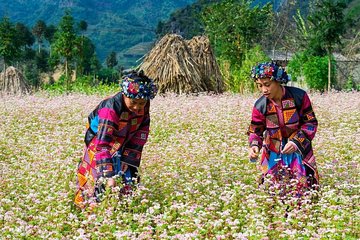 Private Full Day Dong Van trekking from Ha Giang