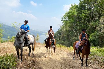 Phuket Horse Riding Experience