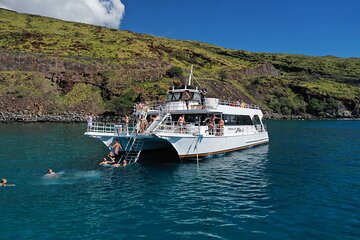 Maui Turtle Snorkeling Tour from Ma'alaea Harbor