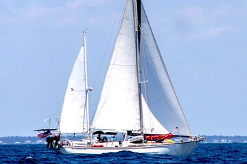 Private Full-Day (6hr) Sailing and Snorkeling Tour from Cruz Bay