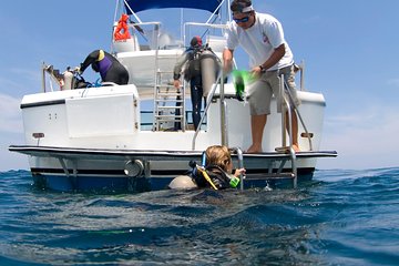 Beginner Diving Lesson with Two Tank Dives in Guanacaste