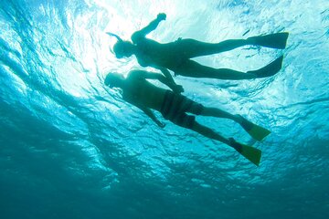 Half-Day Reef Snorkel