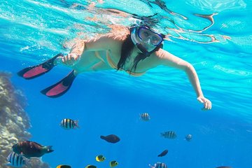 Full-Day Snorkeling Trip at Paradise Island in Egypt