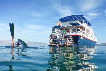 5-Day Snorkel and Wildlife Adventure Cruise in La Paz