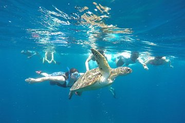 Snorkeling Tour In Gili Trawangan, Gili Meno And Gili Air Pick Up From Bali