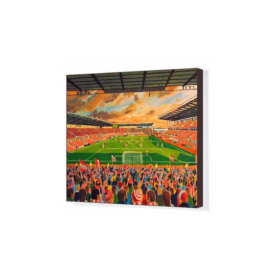(20x16 (50x40cm) ) bet365 Stadium Fine Art - Stoke City Football Club (Canvas Print)