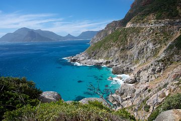 5 Day Cape City, Cape Point and Cape Winelands Combo package from Cape Town