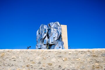Historic Arles to the wild & windswept beaches of the Camargue private tour