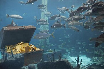 Sunset Snorkelling Treasure Challenge NEW 2022