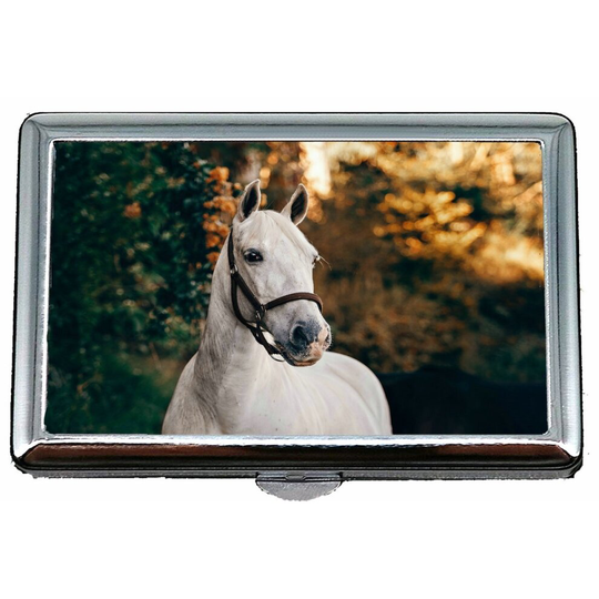 Cigarette Box Case,Daylight Landscape Blurred Background Mare Business Card Holder