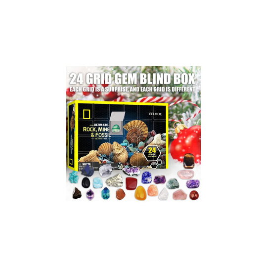 Advent Calendar Gift Box Rock Minerals Fossil Surprise Christmas