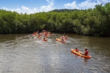 SoCoHo Half Day Jeep Safari- Mangrove Kayak & Reef Snorkeling