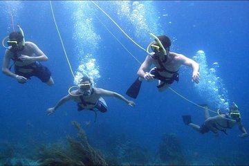Platinum Power Shore Adventure, Hookah Diving, and Snorkeling