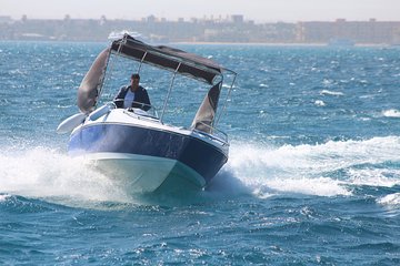 4 Hours Snorkeling with Dolphins by a Private Speed Boat- Hurghada