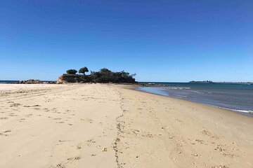 South of Noosa Tour: Hidden Beaches, Mountains, Islands and Villages with Lunch