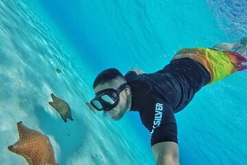 Cozumel Snorkeling Experience (Transportation included)