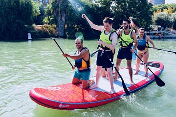 Seville: Paddle Surf Route and Class