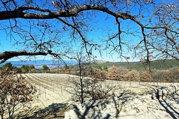 Provence wine tour of vineyards & the best foods & wine of Provence private tour
