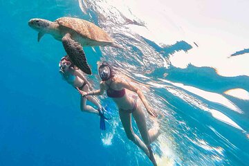 3Hour. Waikiki Turtle Snorkeling Cruise with E SEA DIVER