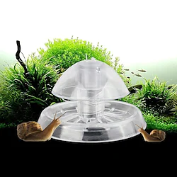 Grass Tank Snail Removal Device Fish Tank Snail Catcher Trapping Aquarium Plant Environment Cleaner Pest Catch Box Clear Tool Lightinthebox