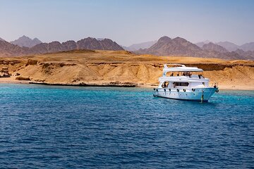 White Island & Ras Mohamed Snorkeling Trip and One Stop Diving - Sharm El Shiekh