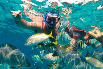 Isla Mujeres Catamaran Sailing Tour with Snorkel, Open Bar and Buffet lunch