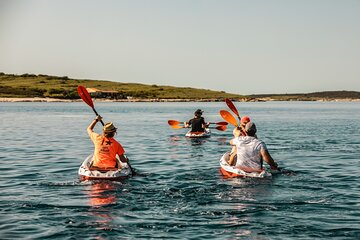Kayak and Snorkeling Medulin Islands Tour