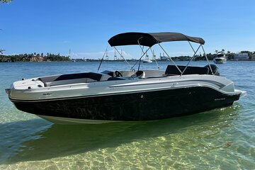 2-Hour Private Miami Snorkeling and Dolphin Watching Tour