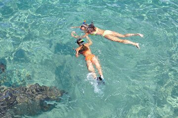 Save 10.02%! Morning Snorkeling with Breakfast and unlimited Mimosa in Key West
