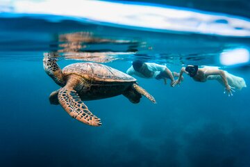 Private Snorkeling Tour