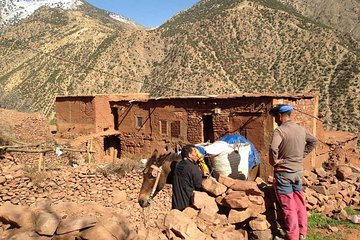 discover the Atlas Mountains and its waterfall, half day tour
