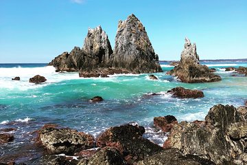 South Coast Nature Tour