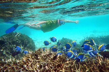 Pigeon island snorkeling tour in Trincomalee