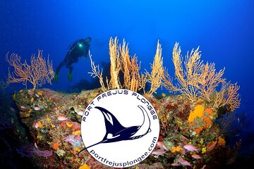 Discovery Scuba Diving Pack
