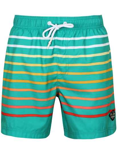 Swim Shorts Freemason Ombre Striped Swim Shorts in Veridis Green - South Shore / XL - Tokyo Laundry