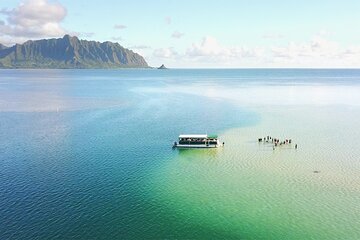 Kaneohe Sandbar Turtle Watching & Snorkeling Tour / 1:00 PM